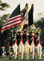 Guidon Pole