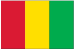 Guinea (UN)