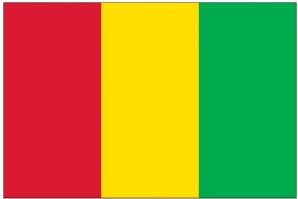 Guinea (UN)