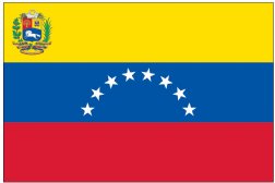 Venezuela, Government (UN & OAS)