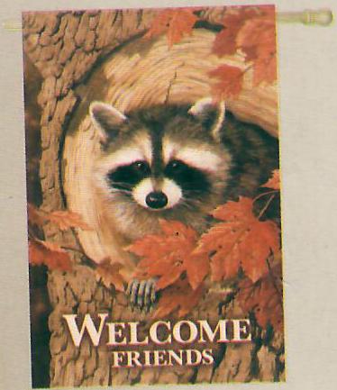 Fall - Raccoon - Printed