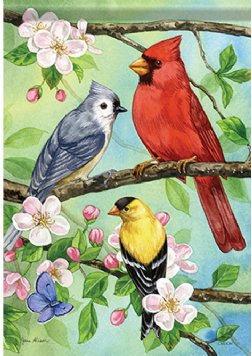 Favorite Birds Decorative Banner