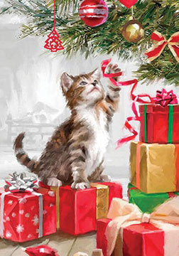 Christmas - Christmas Kitten