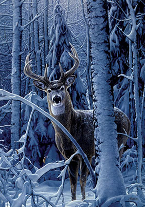 Winter - Winter Deer