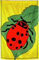 Insects - Ladybugs - Ladybug