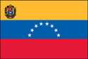 Venezuela, Government (UN & OAS)