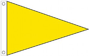 3'x5' Air Quality Pennant - FM Yellow