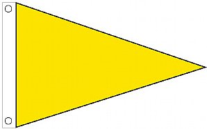 3'x5' Air Quality Pennant - FM Yellow