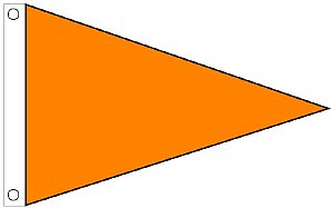 3'x5' Air Quality Pennant - Golden Poppy