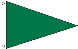 3'x5' Air Quality Pennant - Irish Green