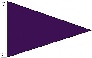 3'x5' Air Quality Pennant - Pansy