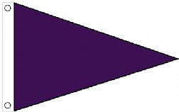 3'x5' Air Quality Pennant - Pansy