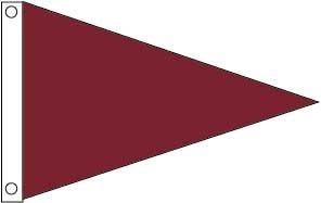 3'x5' Air Quality Pennant - Brick Red