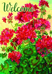 Flowers - Welcome Geraniums