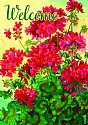Flowers - Welcome Geraniums