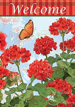 Flowers - Red Geraniums
