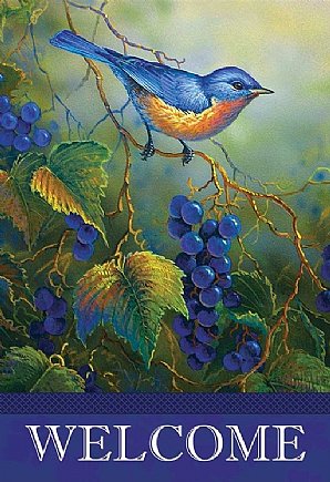 Birds - Vineyard Blues