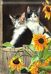 Animals - Calico Kitties - Printed