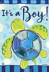 Baby - It's a Boy Sea Turtle