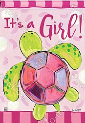 Baby - It's a Girl Sea Turtle