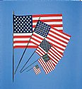 12"x18" U.S. Mounted Flag